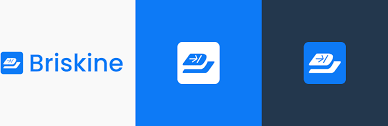 Briskine Logo
